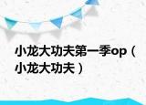 小龙大功夫第一季op（小龙大功夫）