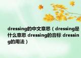 dressing的中文意思（dressing是什么意思 dressing的音标 dressing的用法）