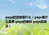 gaga的读音是什么（gaga是什么意思 gaga的音标 gaga的用法）