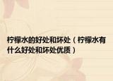 柠檬水的好处和坏处（柠檬水有什么好处和坏处优质）