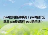 pad如何翻译单词（pad是什么意思 pad的音标 pad的用法）