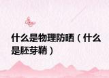 什么是物理防晒（什么是胚芽鞘）
