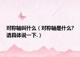 对称轴叫什么（对称轴是什么?请具体说一下.）