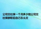 公司交社保一个月多少钱公司交社保辞职后自己怎么交