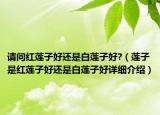 请问红莲子好还是白莲子好?（莲子是红莲子好还是白莲子好详细介绍）