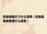 轮胎规格尺寸什么意思（轮胎规格参数是什么意思）