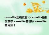 camellia正确读音（camellia是什么意思 camellia的音标 camellia的用法）
