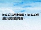 ios11怎么强制降级（ios11如何绕过验证强制降级）