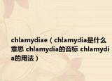 chlamydiae（chlamydia是什么意思 chlamydia的音标 chlamydia的用法）
