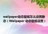 wallpaper动态壁纸怎么设置静态（Wallpaper 动态壁纸设置）