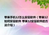 苹果手机12怎么安装软件（苹果12如何安装软件 苹果12安装软件的方法介绍）