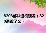 8203部队退役现况（820退役了么）