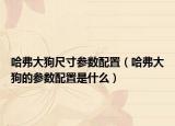 哈弗大狗尺寸参数配置（哈弗大狗的参数配置是什么）