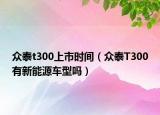 众泰t300上市时间（众泰T300有新能源车型吗）