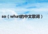 so（what的中文歌词）
