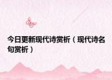 今日更新现代诗赏析（现代诗名句赏析）