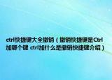 ctrl快捷键大全撤销（撤销快捷键是Ctrl加哪个键 ctrl加什么是撤销快捷键介绍）