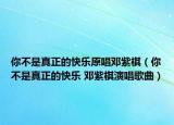 你不是真正的快乐原唱邓紫棋（你不是真正的快乐 邓紫棋演唱歌曲）