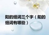 阳的组词三个字（阳的组词有哪些）