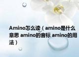 Amino怎么读（amino是什么意思 amino的音标 amino的用法）