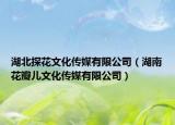 湖北探花文化传媒有限公司（湖南花瓣儿文化传媒有限公司）