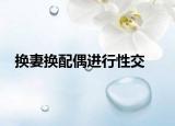换妻换配偶进行性交