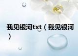 我见银河txt（我见银河）