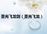 圣光飞龙剑（圣光飞龙）