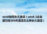 win8如何永久激活（win8.1企业版已经180天激活怎么样永久激活）