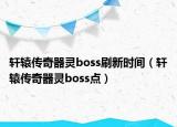 轩辕传奇器灵boss刷新时间（轩辕传奇器灵boss点）