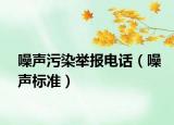 噪声污染举报电话（噪声标准）