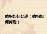 偷狗如何处理（偷狗如何判刑）