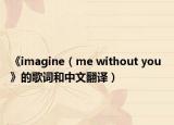 《imagine（me without you 》的歌词和中文翻译）