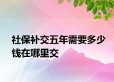 社保补交五年需要多少钱在哪里交