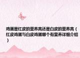 鸡蛋是红皮的营养高还是白皮的营养高（红皮鸡蛋与白皮鸡蛋哪个有营养详细介绍）