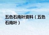 五色石南叶资料（五色石南叶）