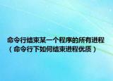 命令行结束某一个程序的所有进程（命令行下如何结束进程优质）