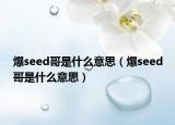 爆seed哥是什么意思（爆seed哥是什么意思）