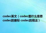 codec英文（codec是什么意思 codec的音标 codec的用法）