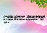 关于自动回复的神仙句子（超级温柔神仙的自动回复是什么 超级温柔神仙的自动回复怎么回事介绍）