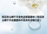 桂花怎么晒干不变色还保留香味（桂花怎么晒干不会黑香味不会丢失详细介绍）