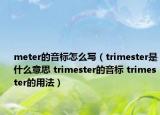meter的音标怎么写（trimester是什么意思 trimester的音标 trimester的用法）