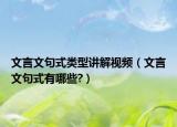 文言文句式类型讲解视频（文言文句式有哪些?）