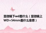 显微镜下wd是什么（显微镜上WD=54mm是什么意思）
