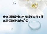 什么是保障性住房可以买卖吗（什么是保障性住房?介绍）