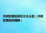 共同犯罪如何区分主从犯（共同犯罪如何理解）