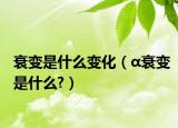衰变是什么变化（α衰变是什么?）