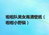 啦啦队美女高清壁纸（啦啦小野猫）