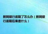 新网银行逾期了怎么办（新网银行逾期后果是什么）