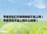苹果手机打开蜂窝数据不能上网（苹果手机不能上网怎么回事）